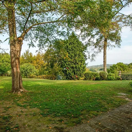 Lovely In Di Pesaro Trebbiantico