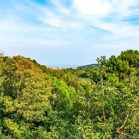 Lovely In Di Pesaro *