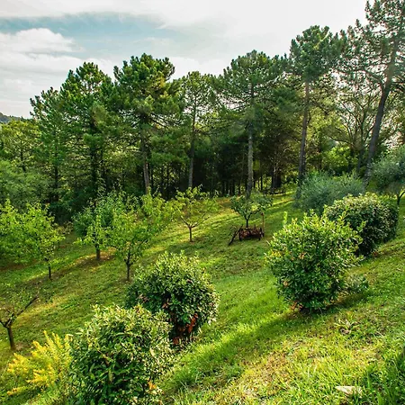 Hébergement de vacances Belle Maison De 2 à Di Pesaro Trebbiantico