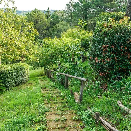 Lovely In Di Pesaro Nyaraló Trebbiantico